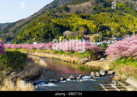 Landschaft in Japan Stockfoto