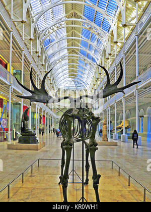 Im National Museum of Scotland in Edinburgh, Großbritannien Stockfoto