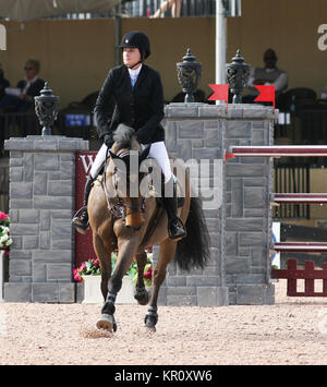 WELLINGTON, FL - 26. Januar: Jessica Springsteen l participtaes in der FTI Winter Equestrian Festival im Palm Beach International Equestrian Center am 26. Januar 2014 in Wellington, Florida Personen: Jessica Springsteen Stockfoto