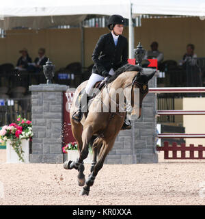 WELLINGTON, FL - 26. Januar: Jessica Springsteen l participtaes in der FTI Winter Equestrian Festival im Palm Beach International Equestrian Center am 26. Januar 2014 in Wellington, Florida Personen: Jessica Springsteen Stockfoto