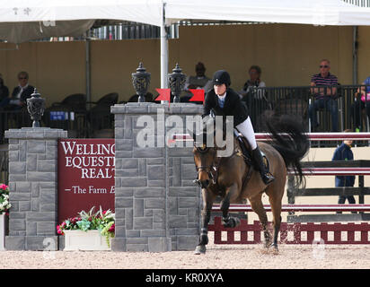 WELLINGTON, FL - 26. Januar: Jessica Springsteen l participtaes in der FTI Winter Equestrian Festival im Palm Beach International Equestrian Center am 26. Januar 2014 in Wellington, Florida Personen: Jessica Springsteen Stockfoto