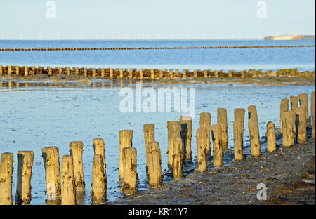 Faschinen in diesem Zusammenhang Stockfoto