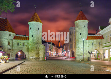 Nacht Straße in der Altstadt von Tallinn, Estland Stockfoto