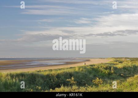 Am Abend in den Dünen von ouddorp aan Zee, goeree- overflakkee, die Südlichen Niederlande Stockfoto