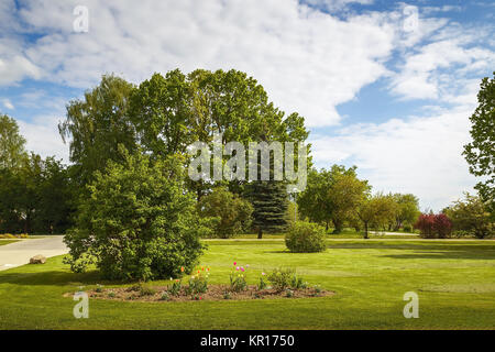 Sommer Wiese an einem sonnigen Tag Stockfoto