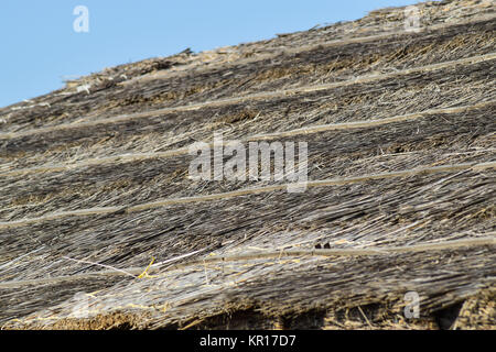 Die Neigung des Daches aus Schilf und Stroh Stockfoto