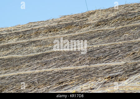 Die Neigung des Daches aus Schilf und Stroh Stockfoto