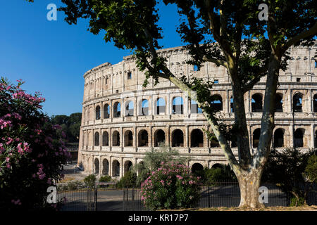 Außerhalb des römischen Kolosseums. Rom, Italien Stockfoto