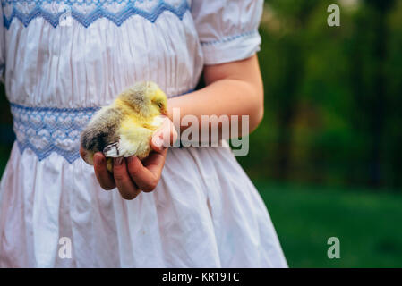 Stehendes Mädchen in einem Garten Holding ein Küken Stockfoto