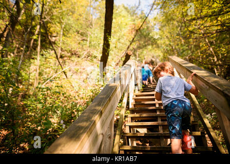 Drei Kinder gehen bis trail Treppe im Wald Stockfoto