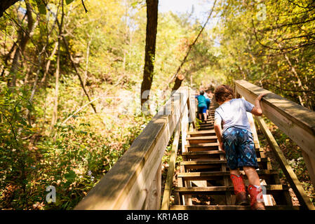 Drei Kinder gehen bis trail Treppe im Wald Stockfoto