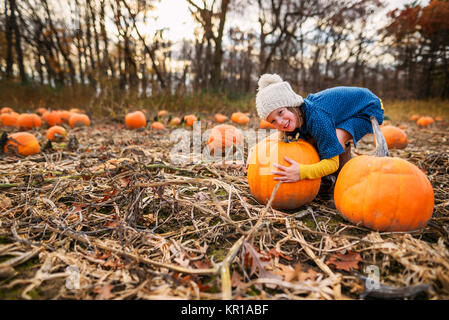 Mädchen versuchen, ein Kürbis in einem Pumpkin Patch zu heben Stockfoto