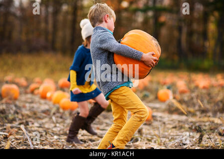 Junge und Mädchen Kommissionierung Kürbisse in einem Pumpkin Patch. Stockfoto