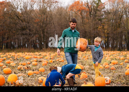 Vater und drei Kinder Kürbisse pflücken in einem Pumpkin Patch. Stockfoto