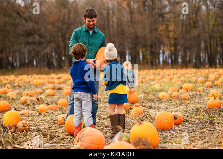 Vater und drei Kinder Kürbisse pflücken in einem Pumpkin Patch. Stockfoto