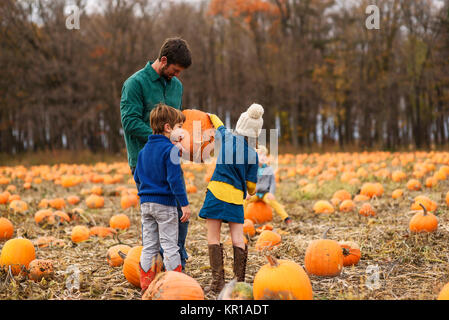 Vater und drei Kinder Kürbisse pflücken in einem Pumpkin Patch. Stockfoto