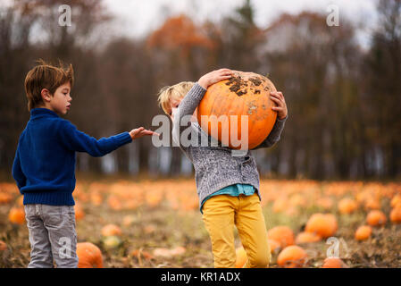 Zwei Jungen Kommissionierung Kürbisse in einem Pumpkin Patch. Stockfoto