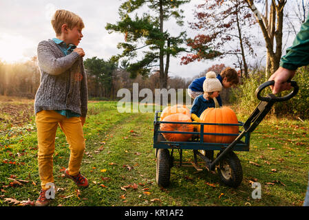 Vater ziehen drei Kinder in einem Wagen mit Kürbissen Stockfoto