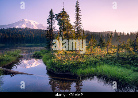 Berglandschaft bei Sonnenaufgang, Mount Rainer National Park, Washington, USA Stockfoto
