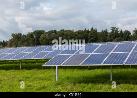 Solarzellen in einem Solarparks auf der grünen Wiese Stockfoto