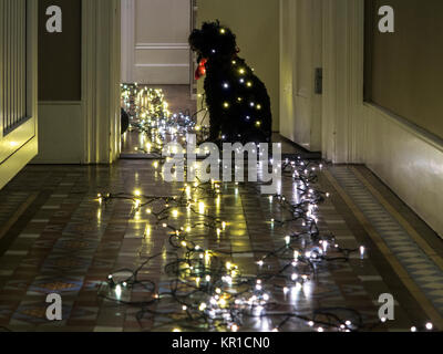 Ein Hund in einem Flur voll mit Weihnachtsbeleuchtung Stockfoto