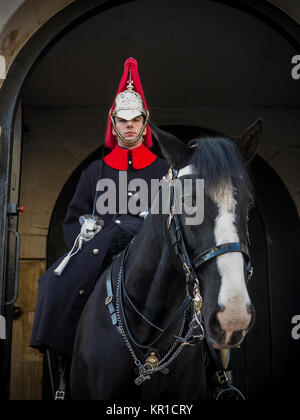 Ein Pferd Leibwächter in London Stockfoto