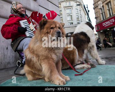 Eine Frau busks am Piccadilly Station im Zentrum von London mit zwei große Hunde Stockfoto