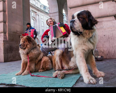 Eine Frau busks am Piccadilly Station im Zentrum von London mit zwei große Hunde Stockfoto