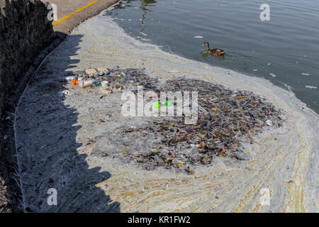 Ente schwimmt zwischen Müll, Plastikflaschen, Blechdosen und Take-Away-Verpackungen, die alle auf dem Wasser schwimmen, Plastikverschmutzung. Stockfoto