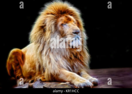 Glühende Lion Portrait Stockfoto