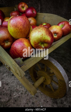 Äpfel in einer hölzernen Schubkarre Stockfoto