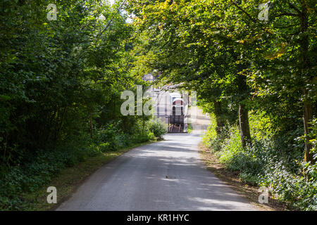 Gern de Gras Stockfoto