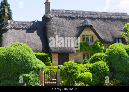 Traditionelle englische Landhaus aus Stein mit Reetdach, grüne Formgehölze Vorgarten, Iron Gate, an einem sonnigen Sommertag, in Cotswolds ländlichen Dorf. Stockfoto