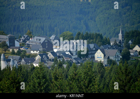 Holz, Masserberg, Thüringer Wald, Thüringen, Deutschland, Wald, Thüringer Wald, Thüringen, Deutschland Stockfoto