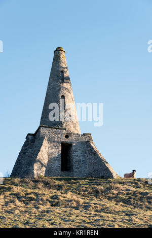 Frau Sykes' Unsinnigkeiten. Sorrelsykes Park, Edgley, Aysgarth, Yorkshire Dales National Park, Großbritannien Stockfoto