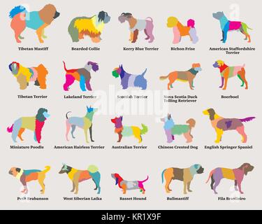 Vektor einrichten von bunten Mosaik isolierter verschiedene Rassen hunde Silhouetten auf grauem Hintergrund. Teil 5 Stock Vektor