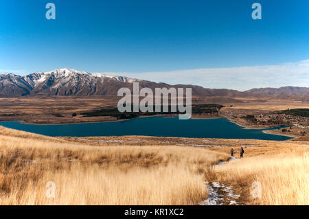 Malerischer Blick auf den See Tekapo und die umliegenden Berge von Mount John Observatorium Stockfoto