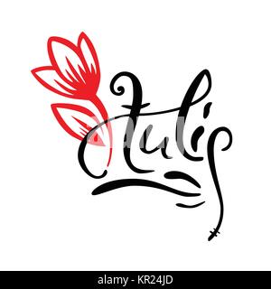 Alte Schrift, Kalligraphie. Wort Tulip mit Hand gezeichnet rote Vektor Tulpe. Logo für Spa Salon oder Flower Shop Stock Vektor