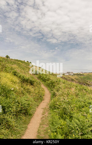 Der South West Coast Path Housel Bay, Cornwall, UK. Stockfoto