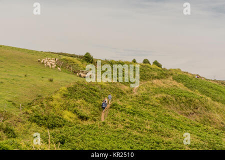 Der South West Coast Path Housel Bay, Cornwall, UK. Stockfoto