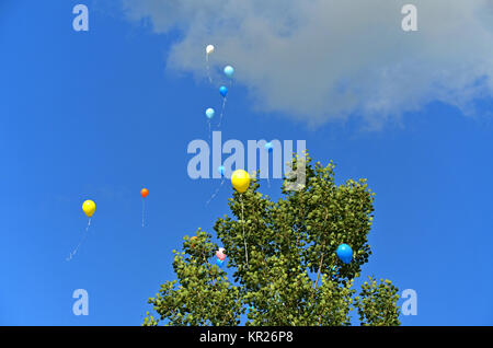 Bunte Luftballons steigen in den Himmel Stockfoto