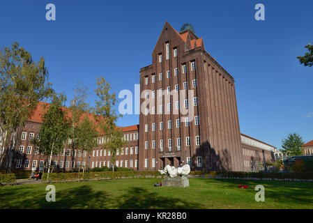 Haus Der Wissenschaft Pockelstrasse Technische Universitat