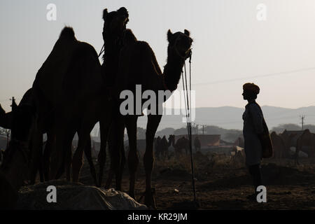 Pushkar Camel Fair, Rajasthan Stockfoto