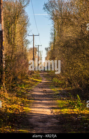 Flitch Weise Recht der Öffentlichkeit Weg Wanderweg reitweg Radweg am Anschluss Bett von Braintree zu Bishop's Stortford Bahnstrecke. Herbst Farben Stockfoto