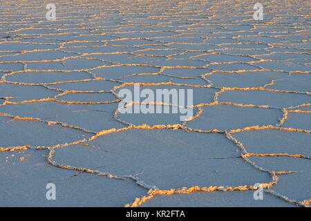 Wabenstruktur auf der Salt Lake bei Sonnenaufgang, Salar de Uyuni, Uyuni, Potosi, Bolivien Stockfoto