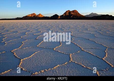 Wabenstruktur auf der Salt Lake bei Sonnenaufgang, Salar de Uyuni, Uyuni, Potosi, Bolivien Stockfoto