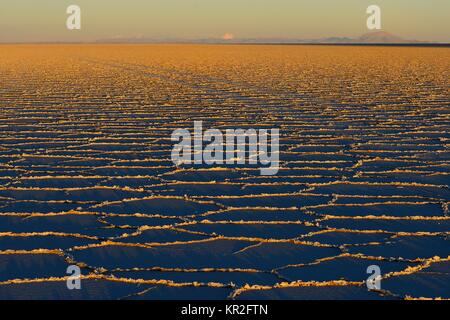 Wabenstruktur auf der Salt Lake bei Sonnenaufgang, Salar de Uyuni, Uyuni, Potosi, Bolivien Stockfoto