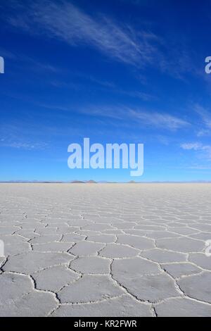 Wabenstruktur auf dem Salzsee Salar de Uyuni, Uyuni, Potosi, Bolivien Stockfoto