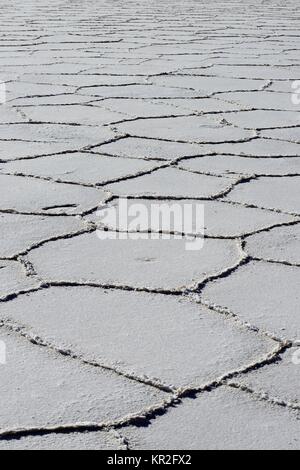 Wabenstruktur auf dem Salzsee Salar de Uyuni, Uyuni, Potosi, Bolivien Stockfoto