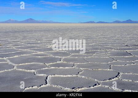 Wabenstruktur auf dem Salzsee Salar de Uyuni, Uyuni, Potosi, Bolivien Stockfoto